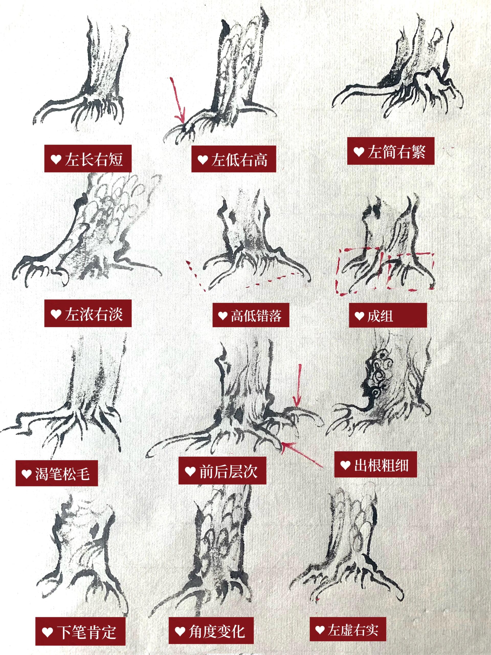 国画秘籍|30种树根画法