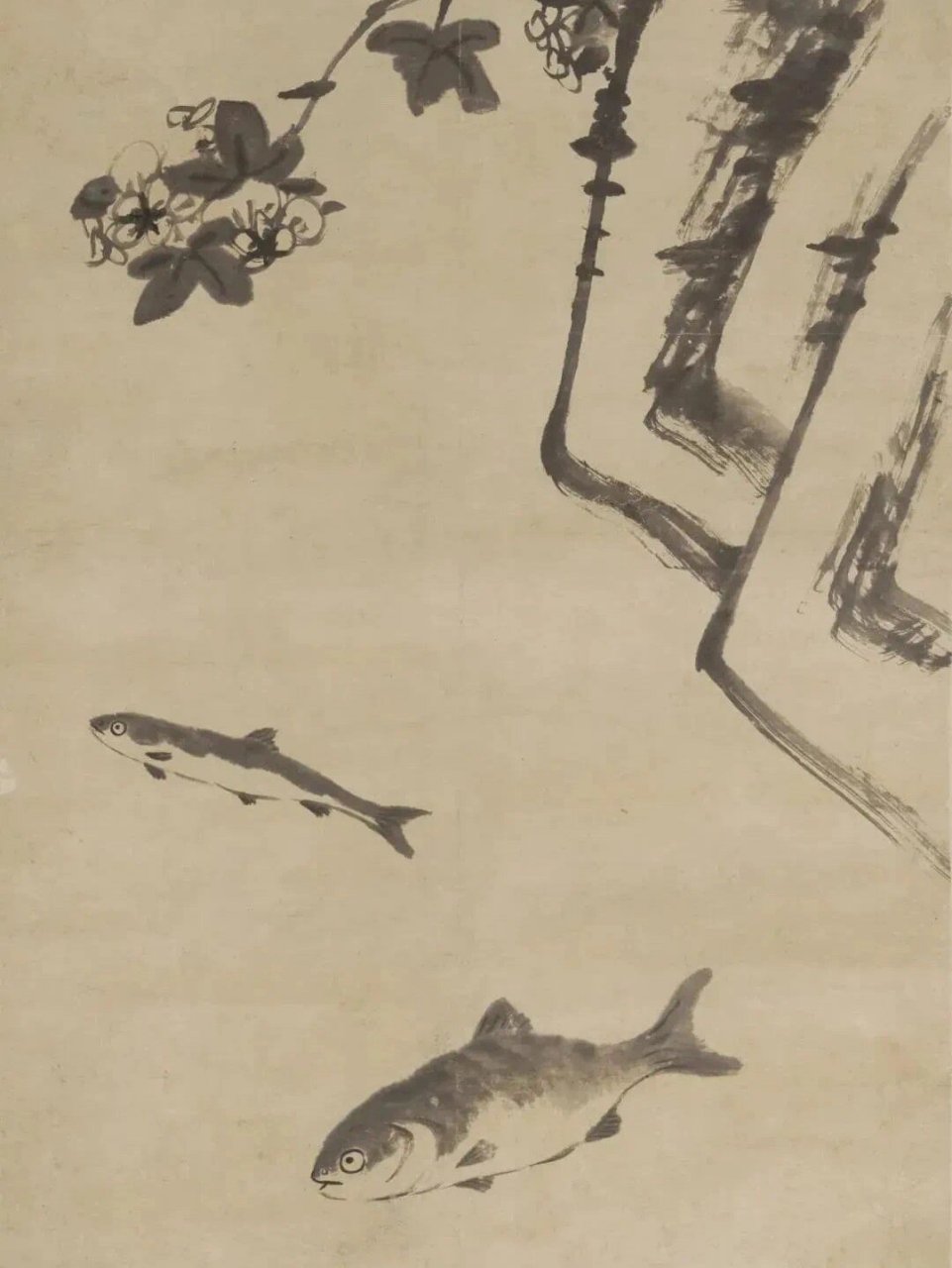 八大山人画鱼欣赏 朱耷(1626年—约1705年)字刃庵,号八大山人,雪个,个
