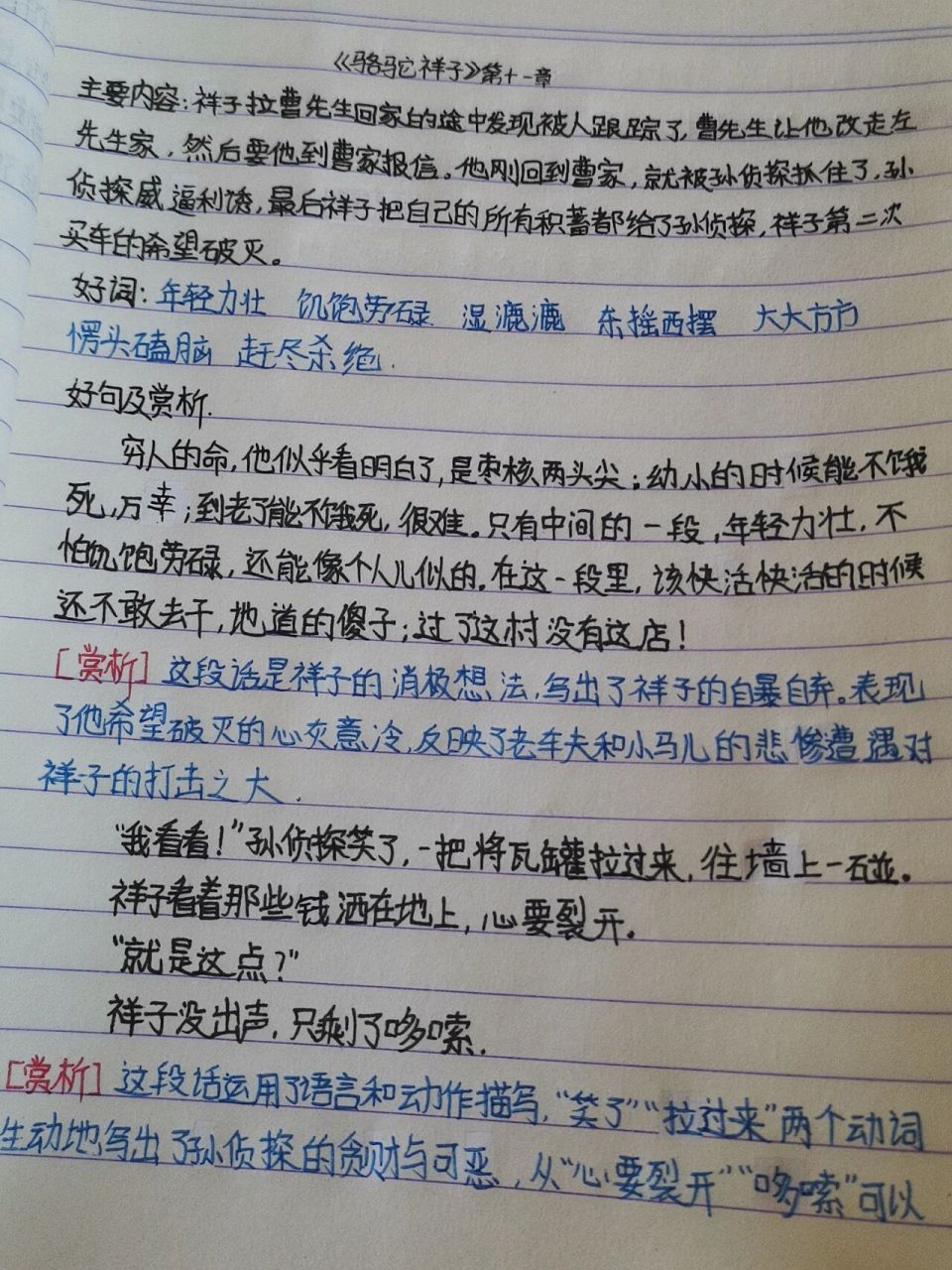 《骆驼祥子》第十一章读书笔记 这是我写的《骆驼祥子》第十一章读书