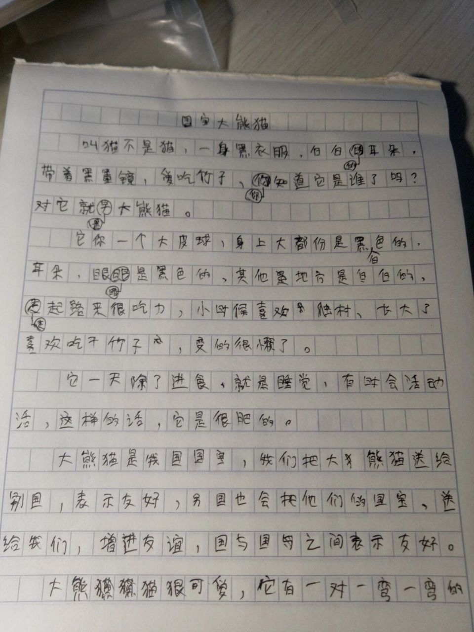 三年級下冊國寶大熊貓作文