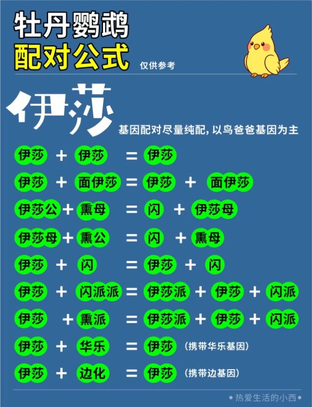 牡丹鹦鹉基因配对公式图片