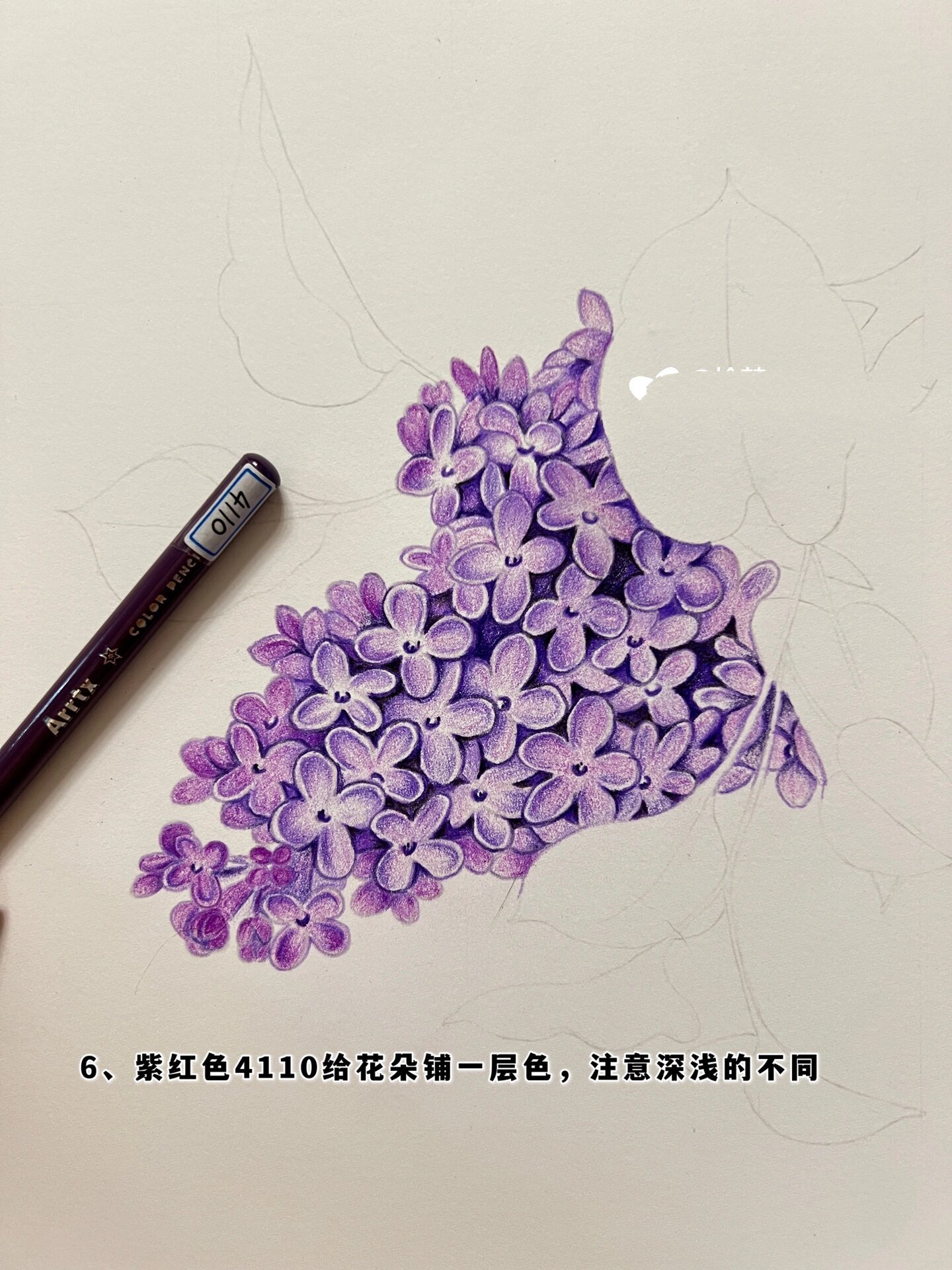 丁香花简笔画带颜色图片