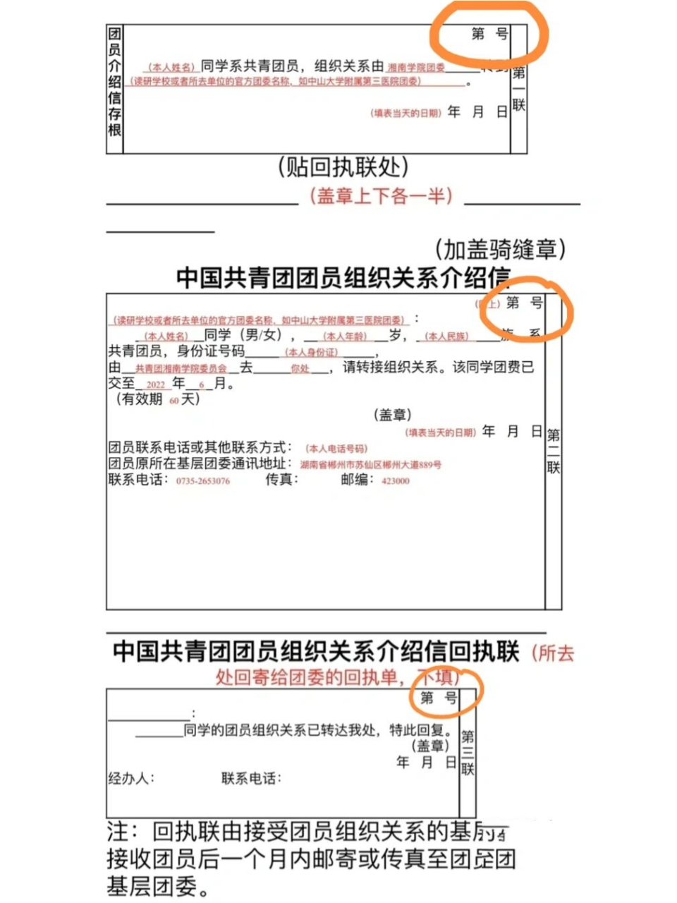 团组织关系转移介绍信图片