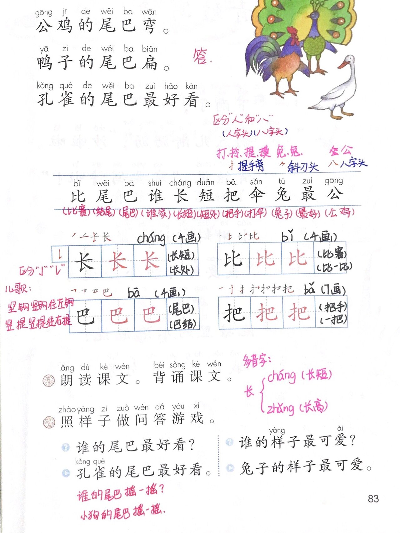 小学语文一年级《比尾巴》知识点及课后练习