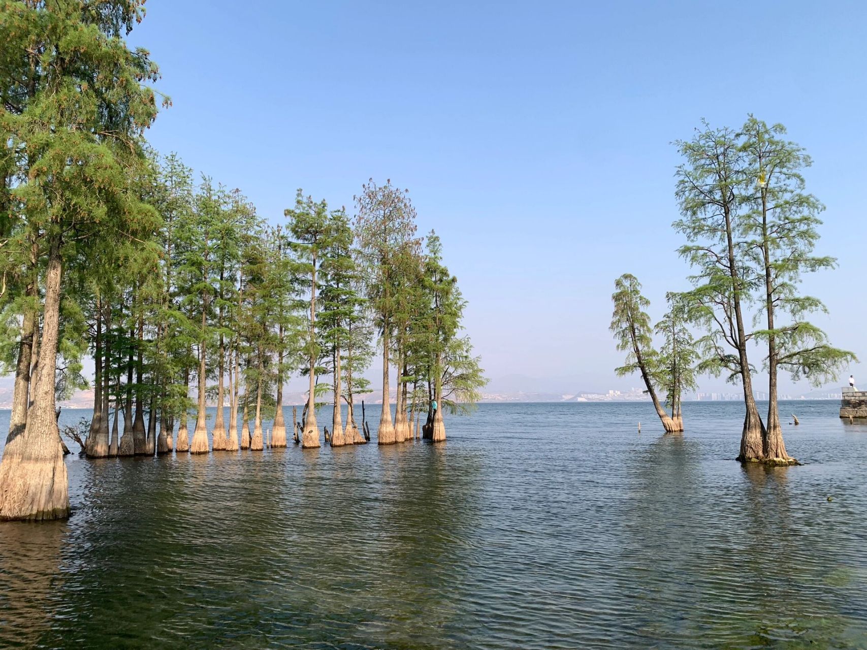 大理古城怎么去龙龛码头77才村码头?