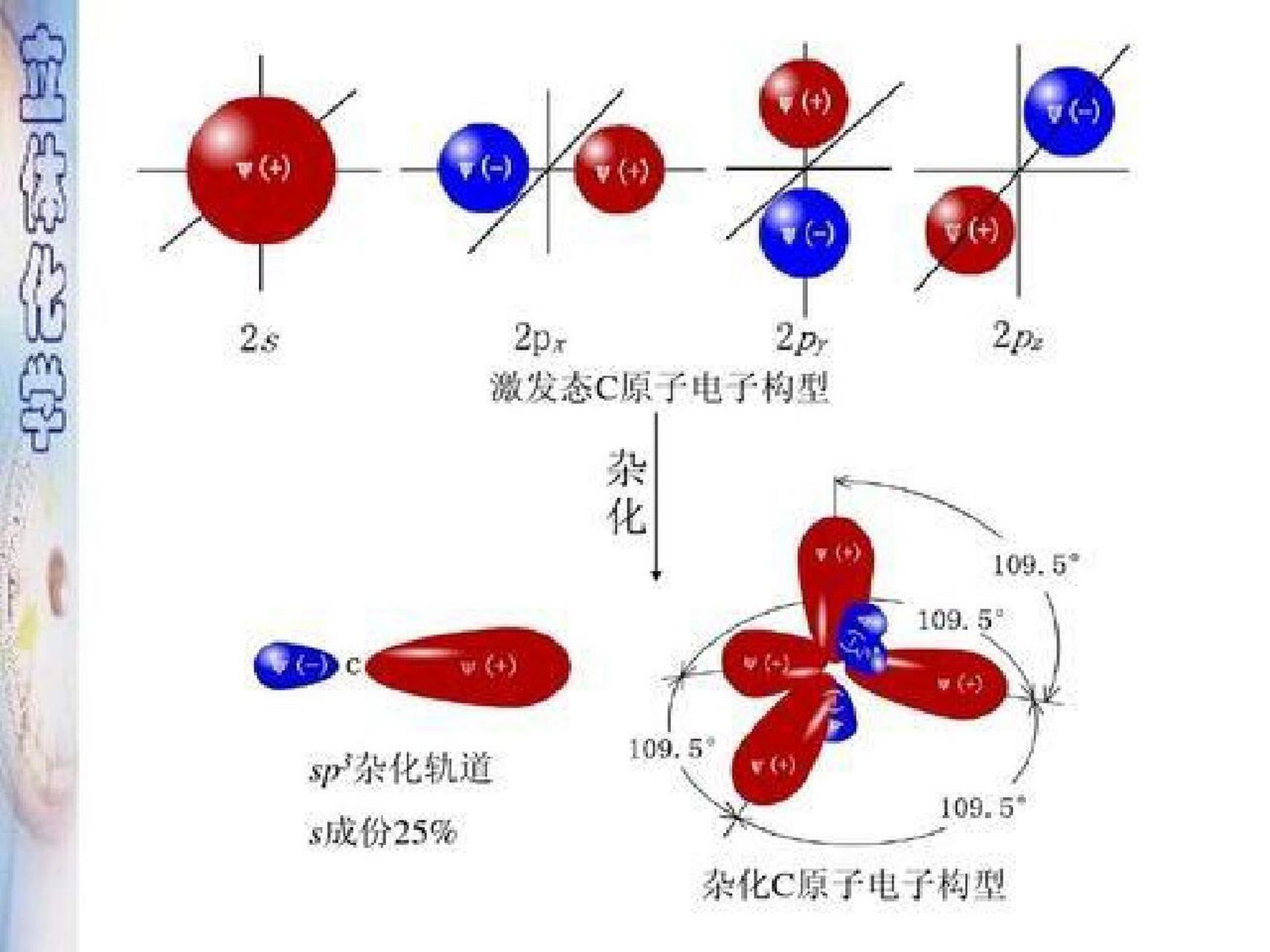 sp轨道杂化示意图图片