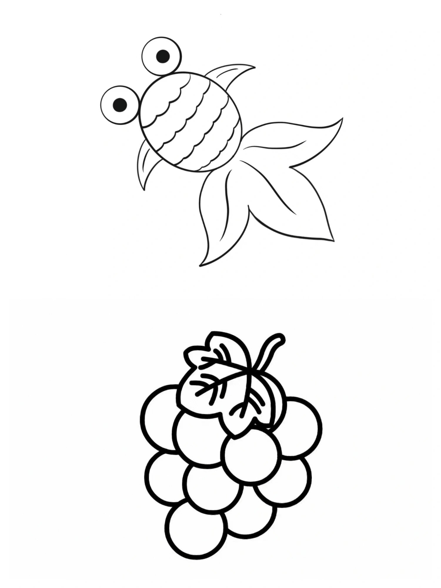 小班涂色