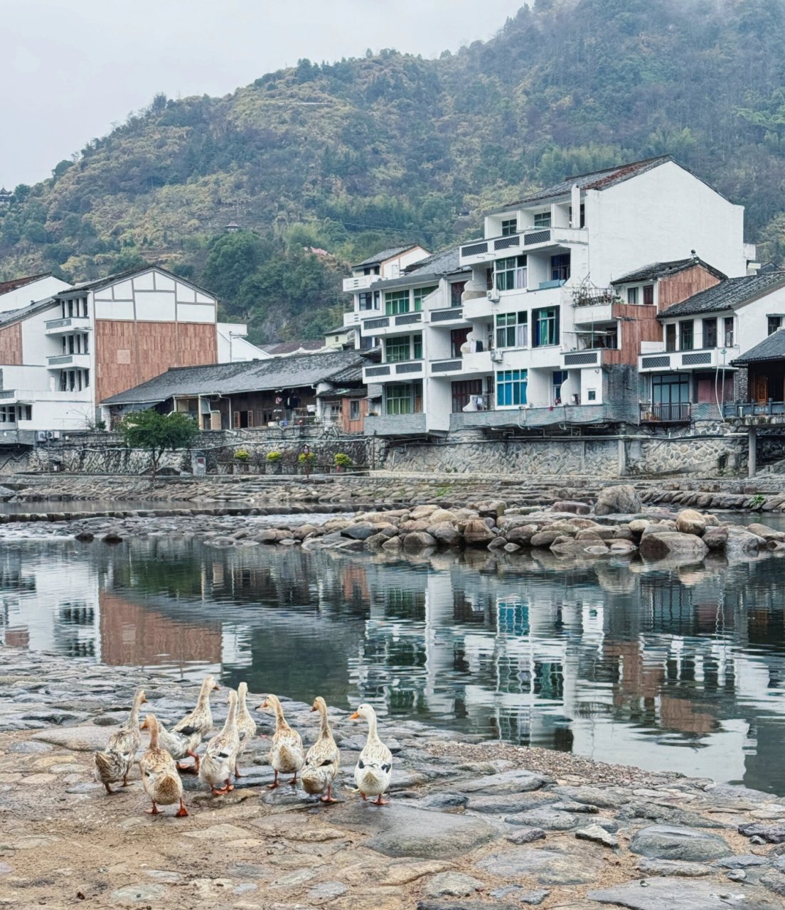 平阳顺溪一日游图片