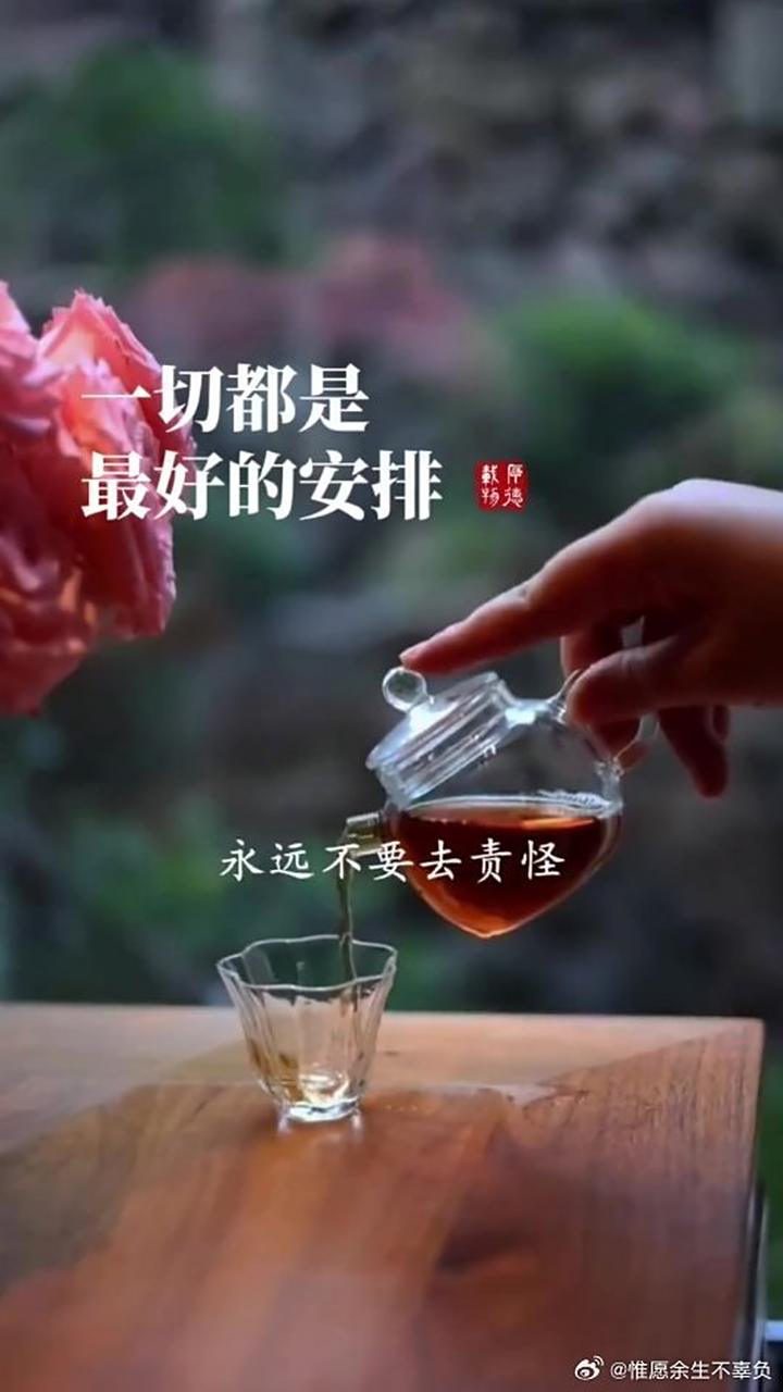 《如果事与愿违,请相信一切都是最好的安排》播放量:2.