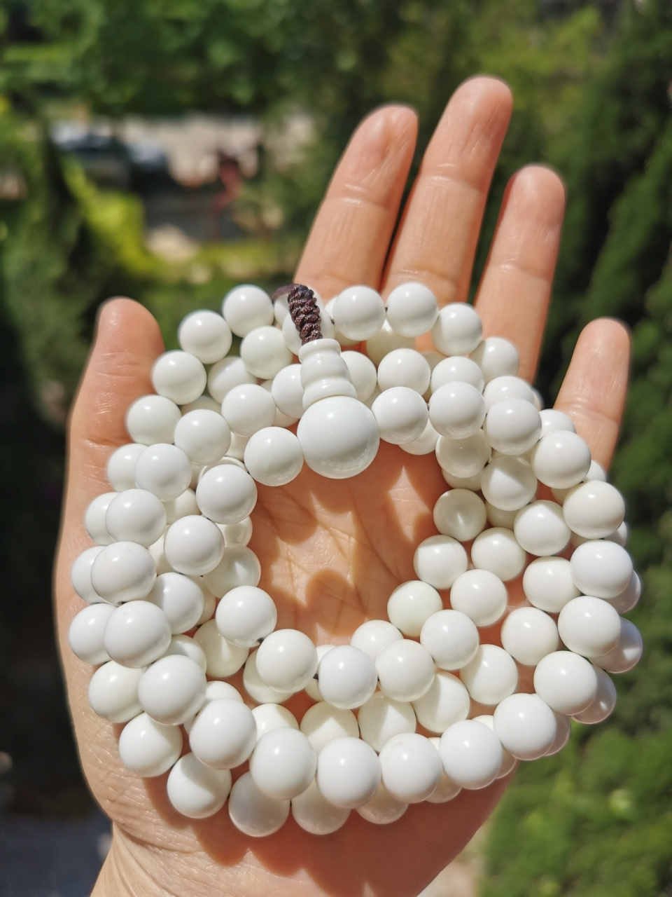 西藏神玉——象牙玉 【象牙玉介绍】 产地西藏藏东,海拔4500以上的山