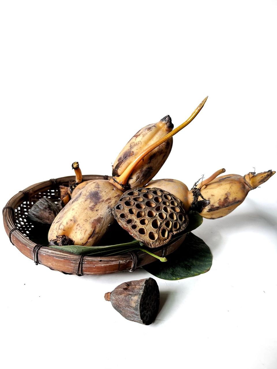 绘画素材1000更&莲藕与莲蓬