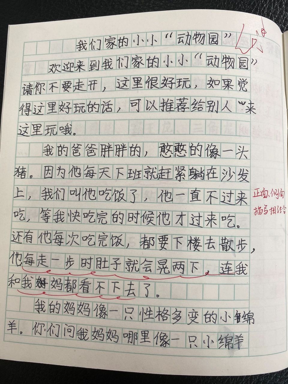 小小动物园.200字图片