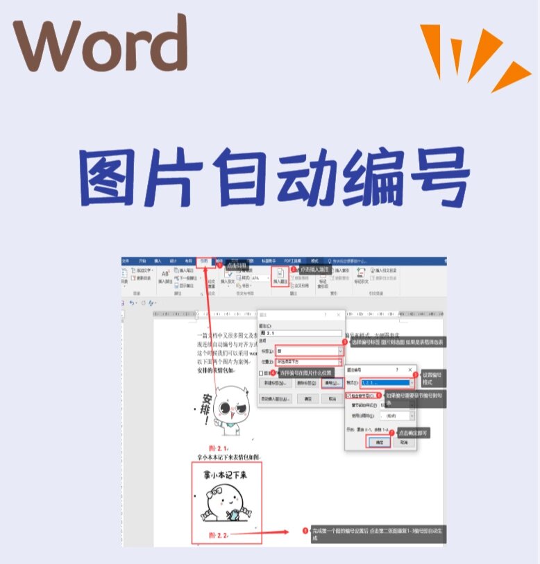 word图片自动编号设置