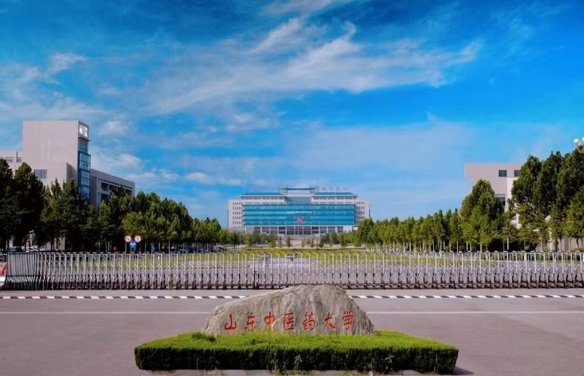 专升本院校—山东中医药大学 学校全称:山东中医药大学 学校类型:医药