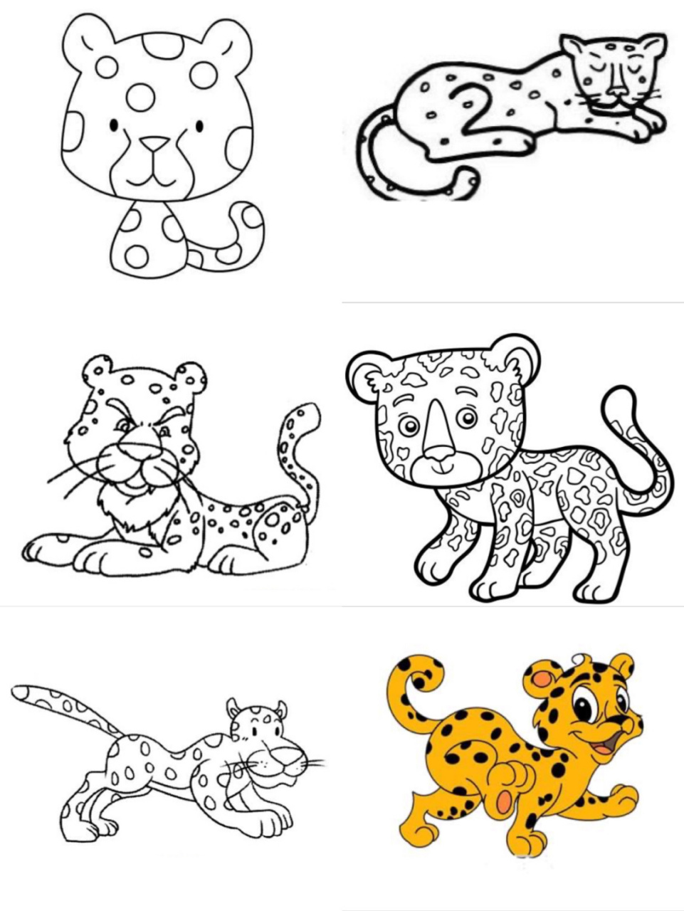 豹子画法 简笔画图片