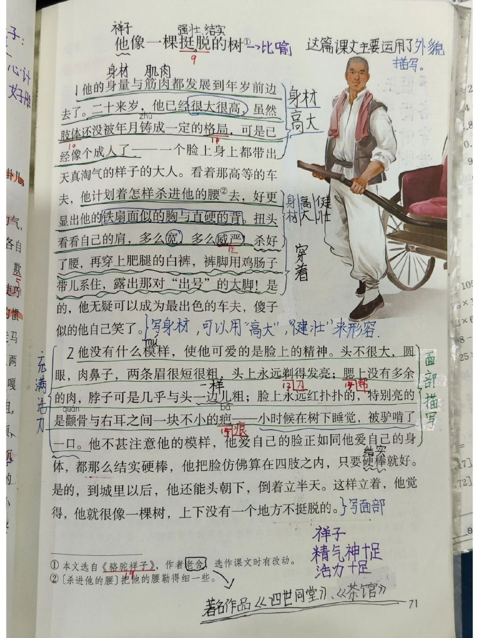 人物描写一组他像一棵挺脱的树课堂笔记