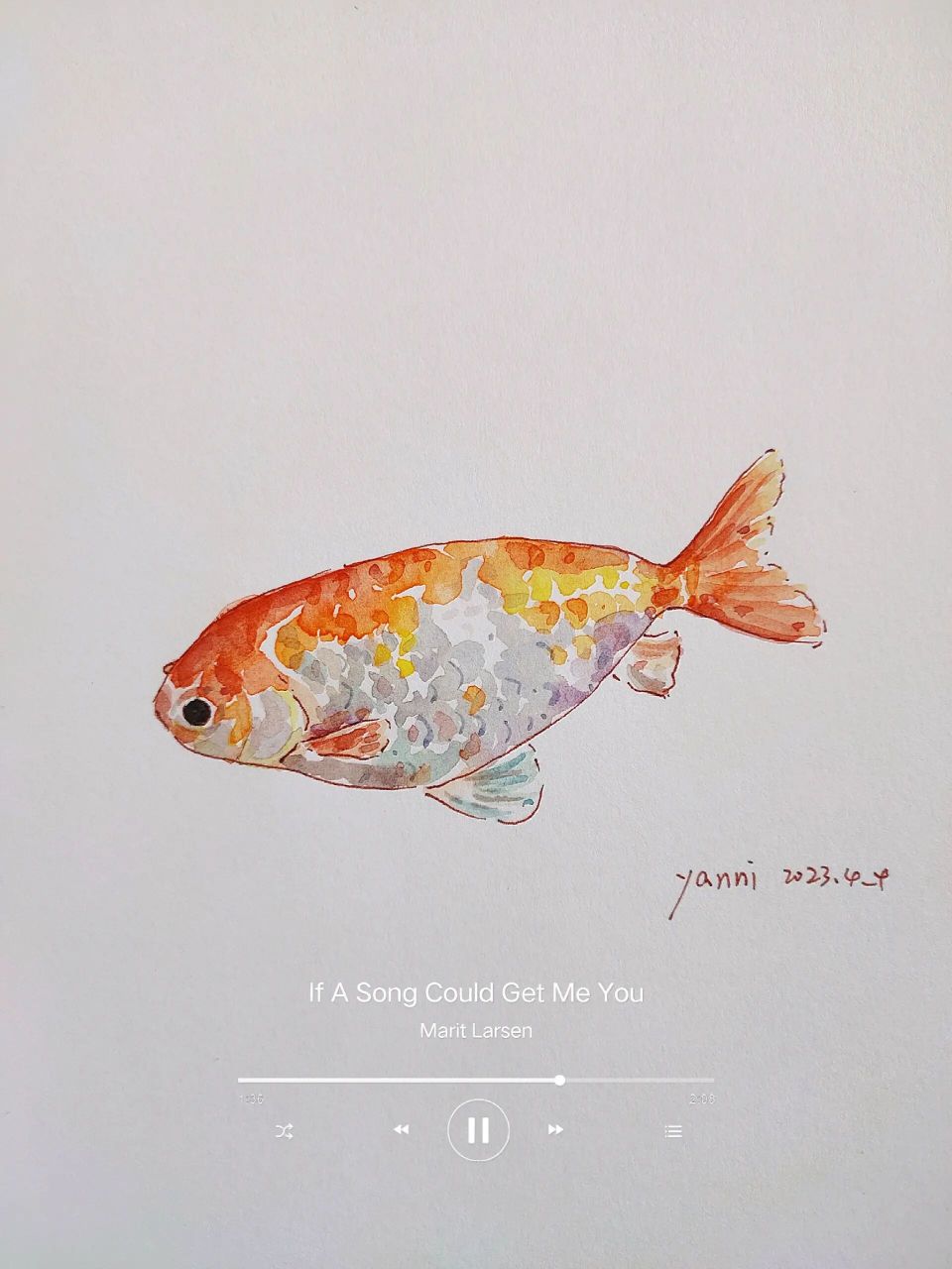 钢笔淡彩|78小小金鱼 附线稿 身穿橙色小衣裳的可爱金鱼.