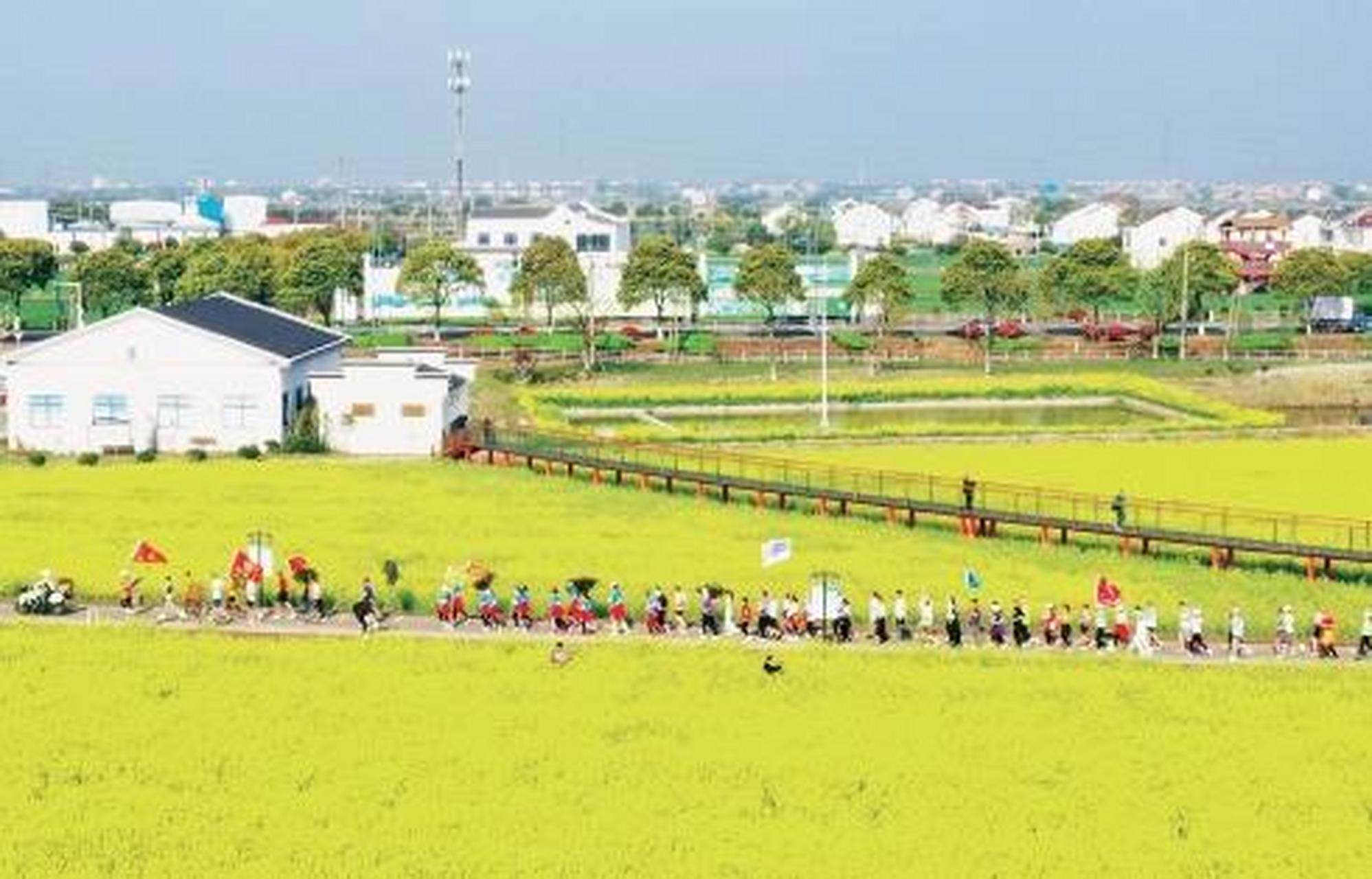 近日,江苏省宜兴市杨巷镇"春日花海乐跑"活动拉开帷幕.