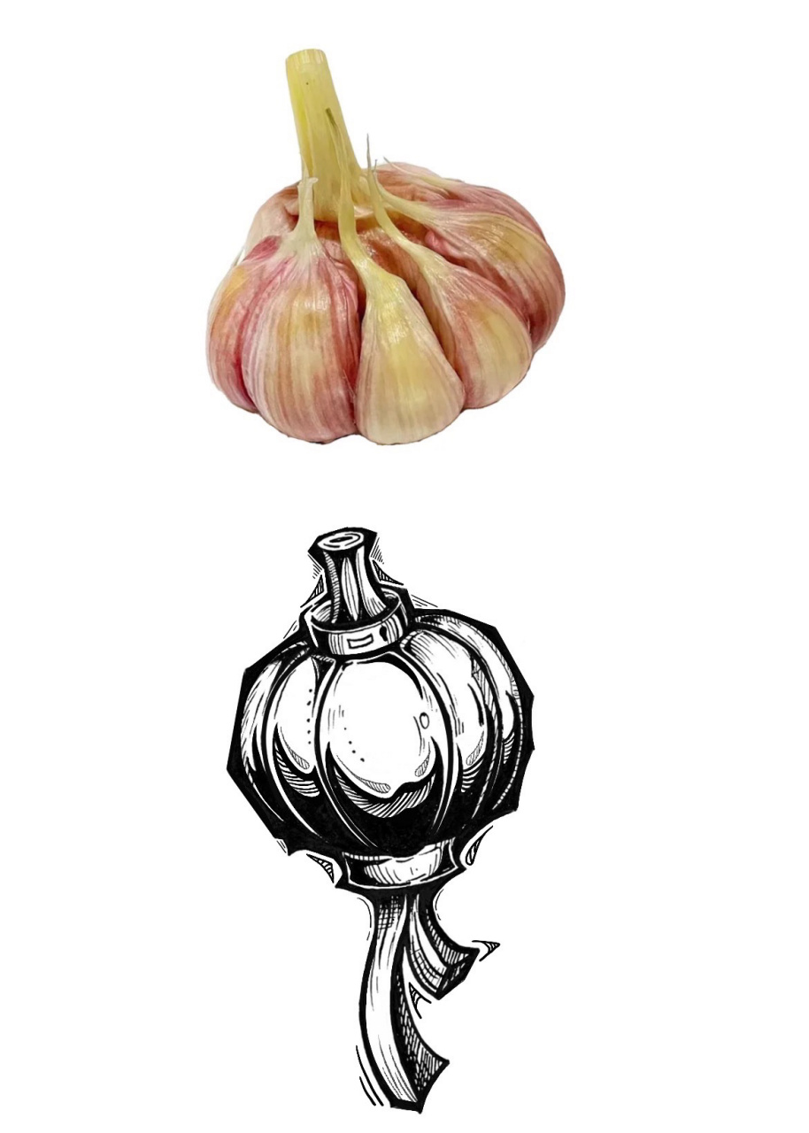 观察所画物体的形状,因为是拿蒜的整体造型来做创意,可以做一个头脑