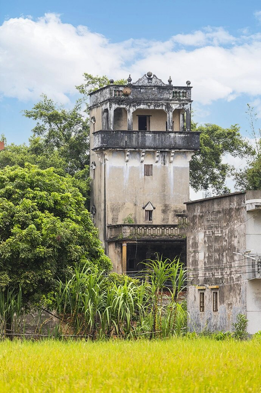 一个村子竟拥有37栋碉楼 藜塘村位于广东省江门市恩平市君堂镇东部,被