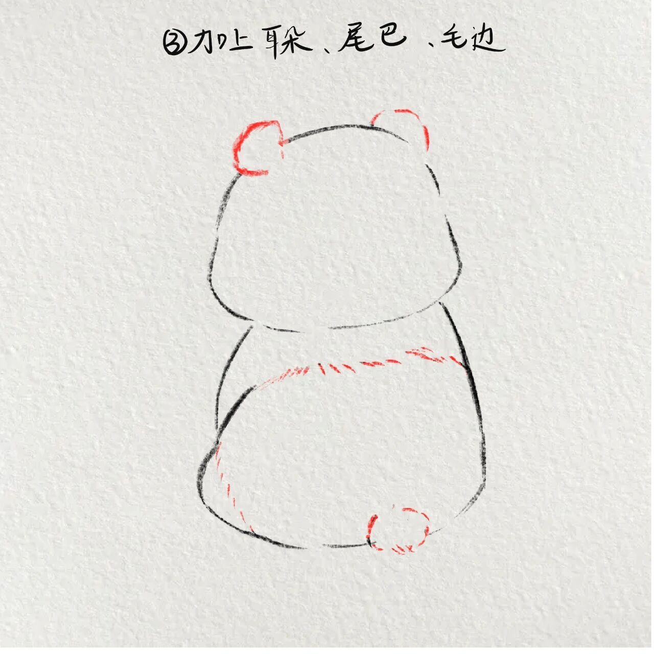 一看就会的超可爱熊猫手绘     思考喵生的滚滚 工具:procreate 笔刷