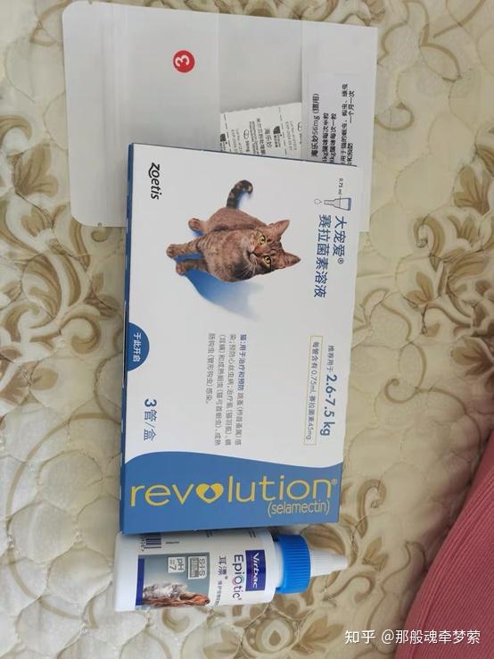 猫咪耳螨请问大宠爱和博来恩哪个比较好