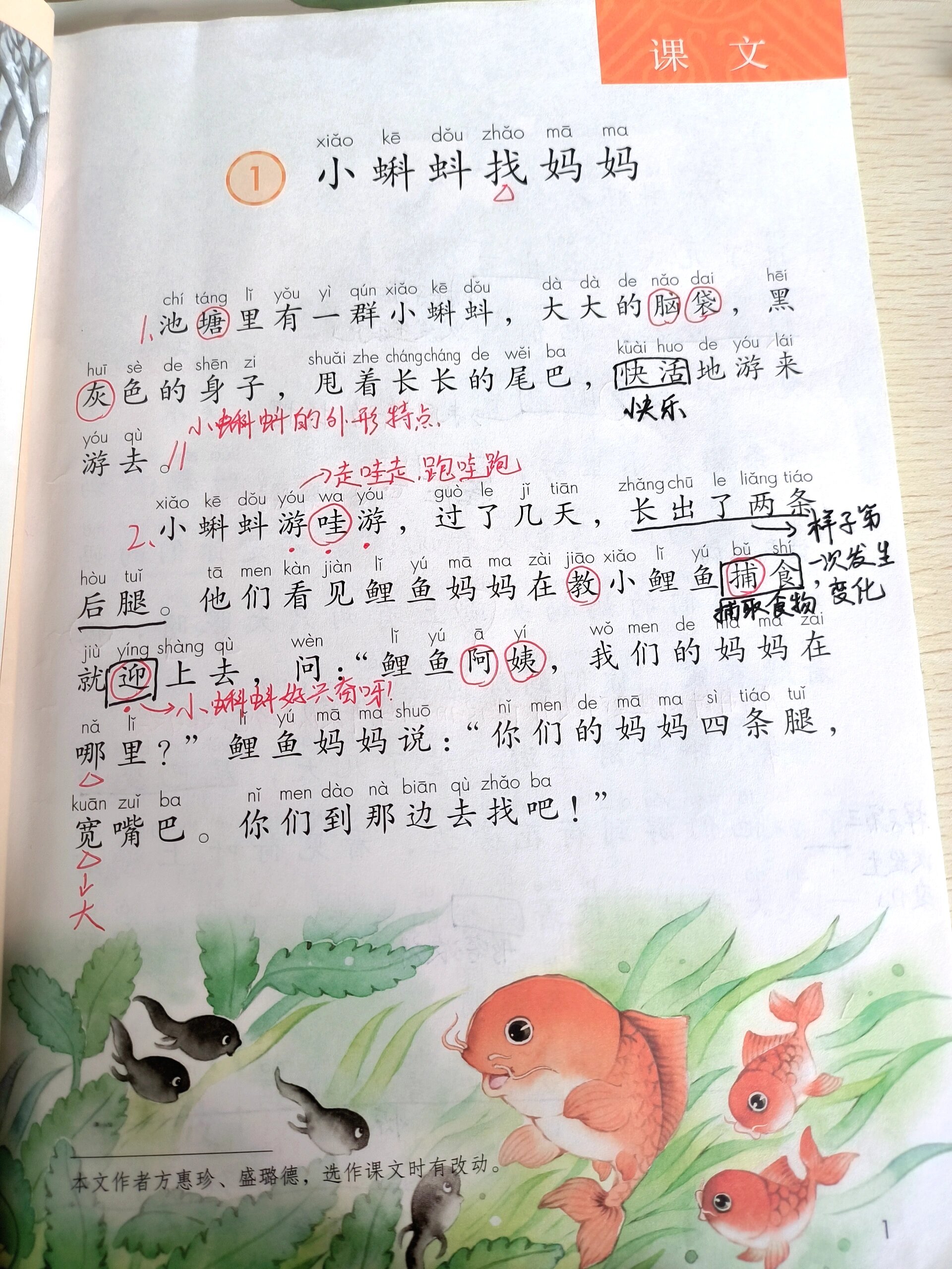 人教版二上语文《小蝌蚪找妈妈》 简单的备下课