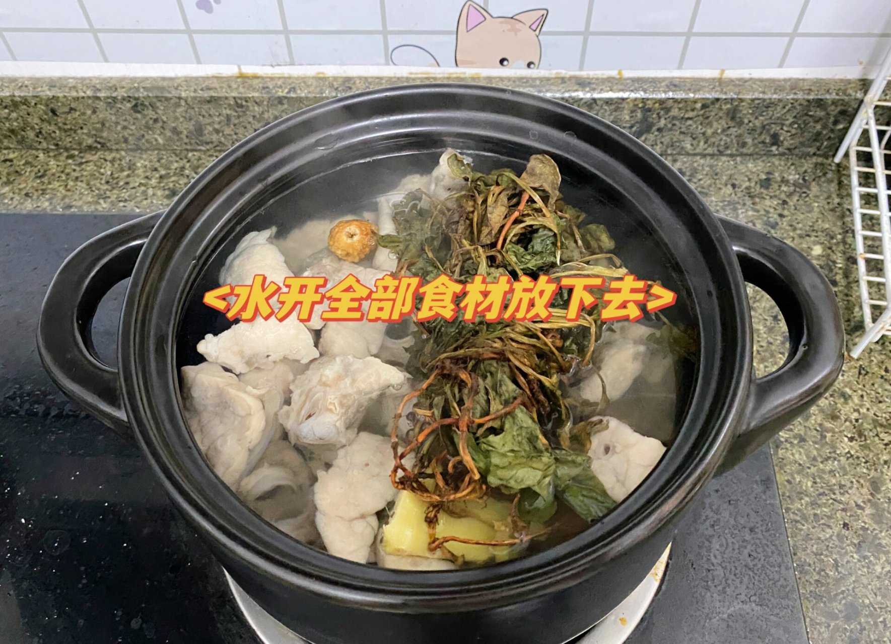 鱼腥草猪肺汤图片