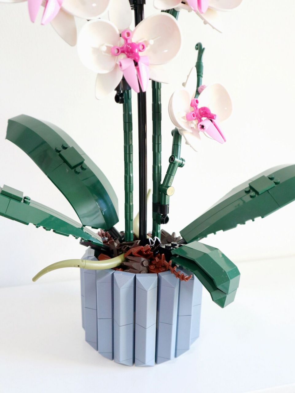 这年头积木可以搭出兰花来,精细程度叹为观止……[抓狂][抓狂] 乐高花