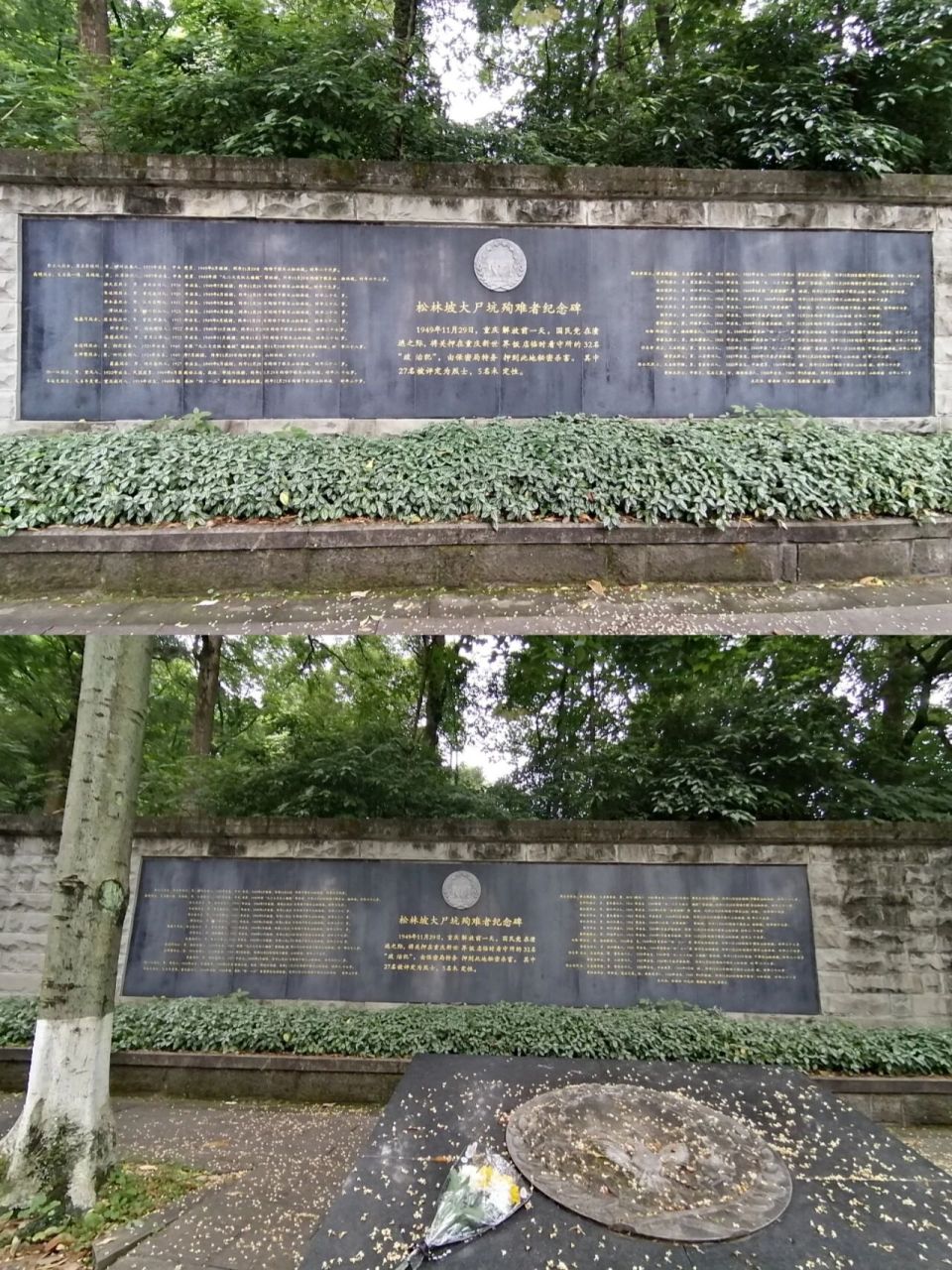 松林坡,位于白公馆后山,因为这里满山遍野生长着松树而得名.