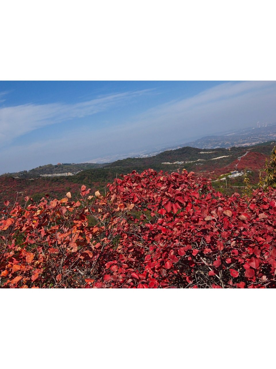 巩义长寿山一日游—郑州周边游 周末了,决定去周边爬山看红叶.