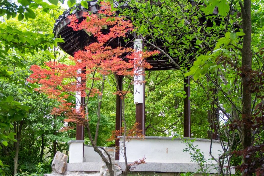 苏州日本高中top1|苏州三中中日融合课程6015