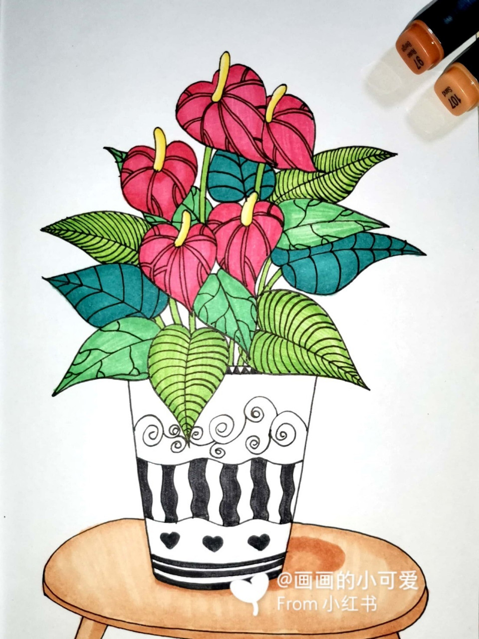植物写生 红掌 创意儿童画 简笔画 线描