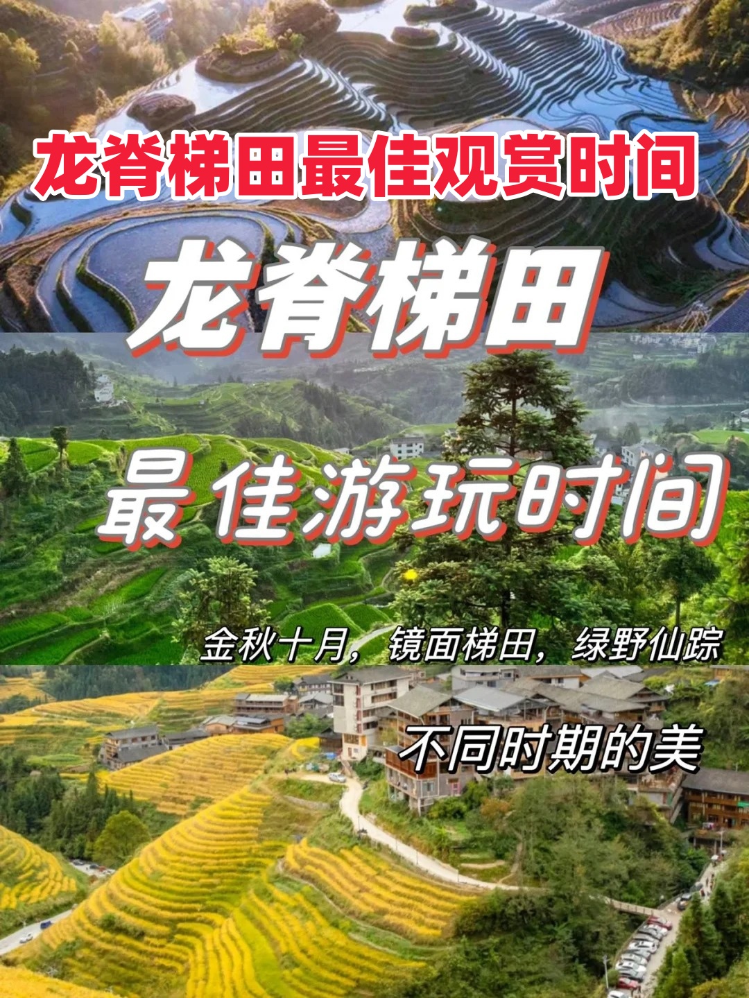 龙脊梯田最佳观赏时间