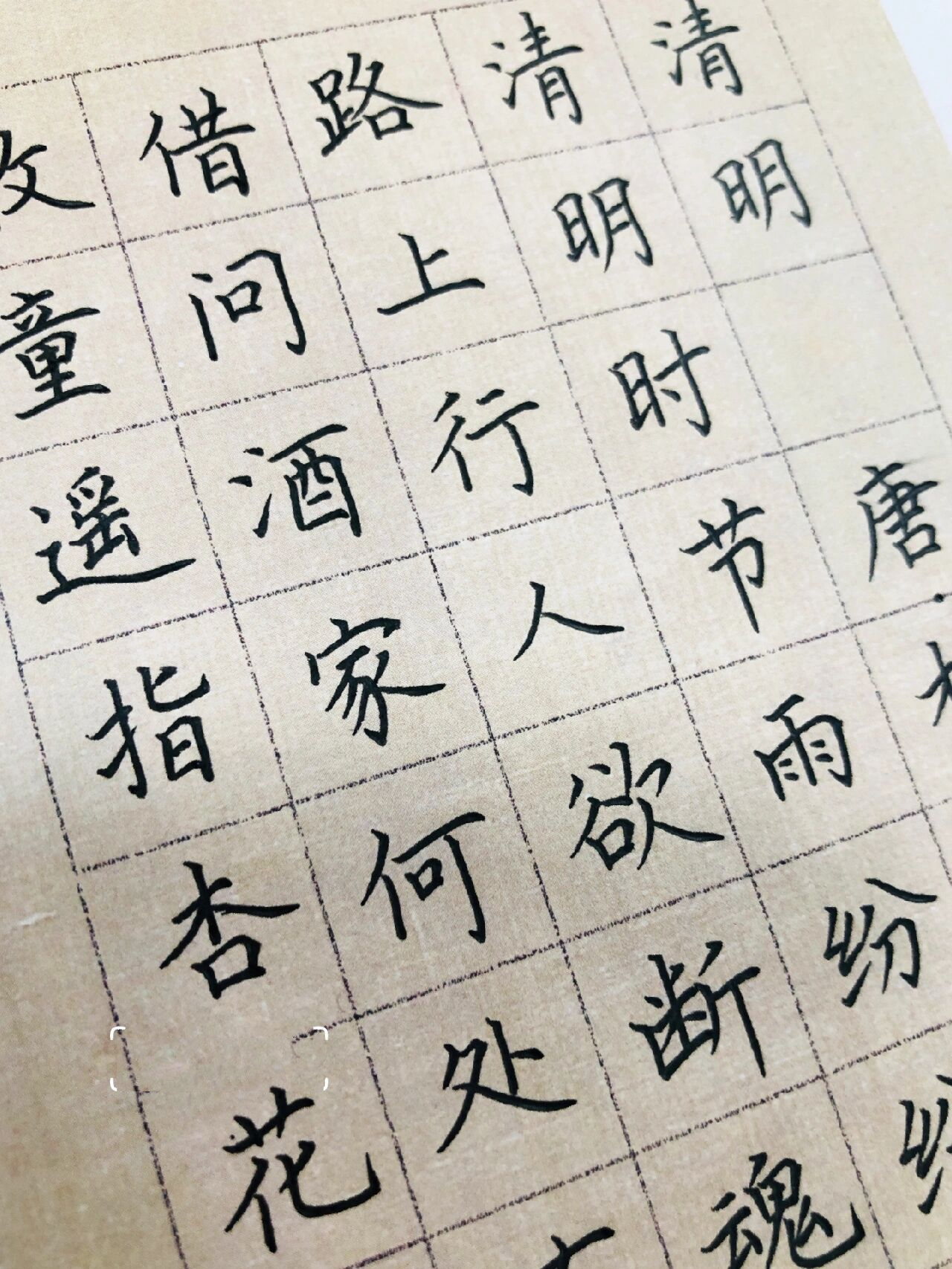 手写丨硬笔书法作品 古诗词《清明》杜牧