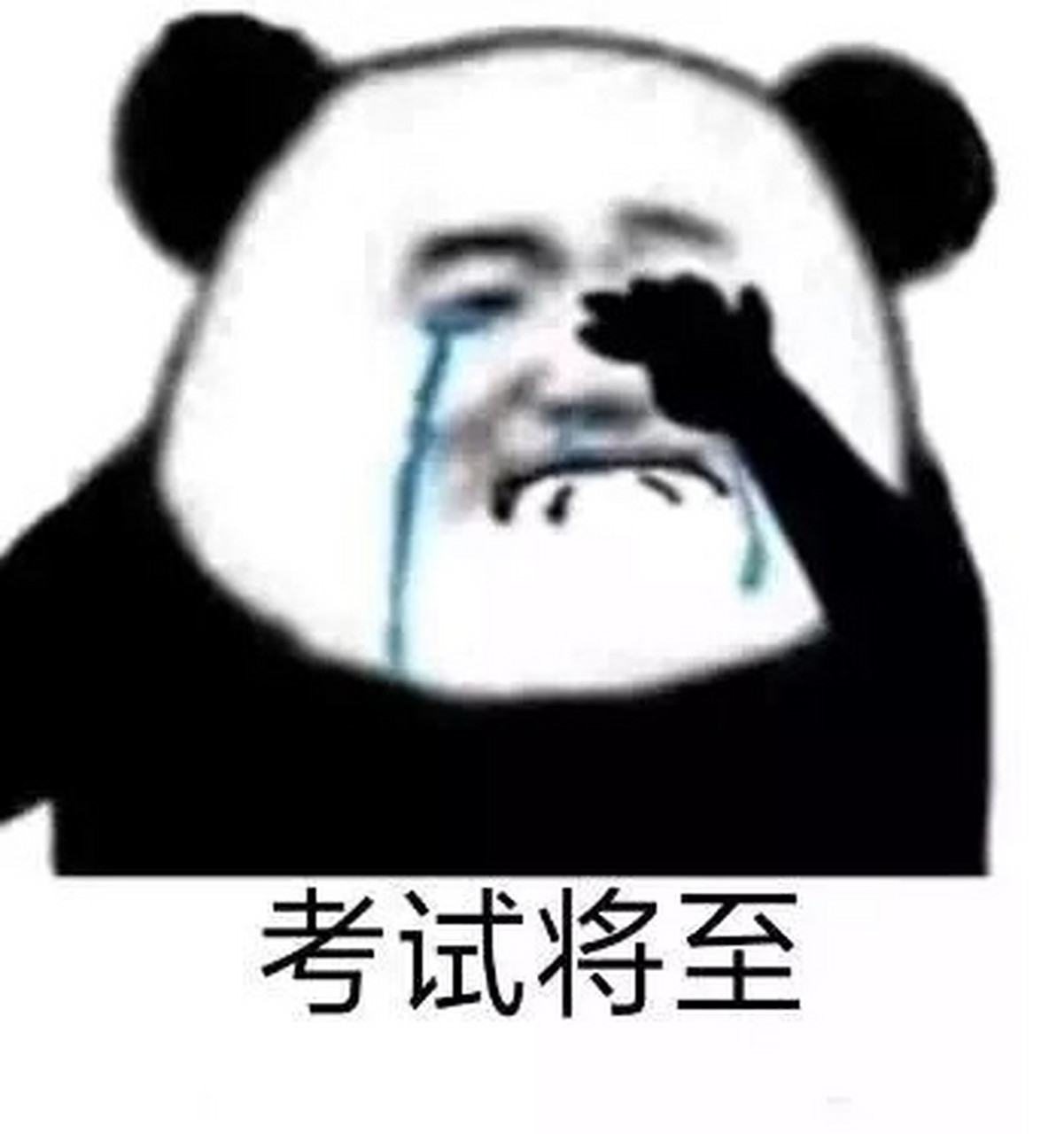 逢考必过沙雕表情包 给考试上香 保佑逢考必过