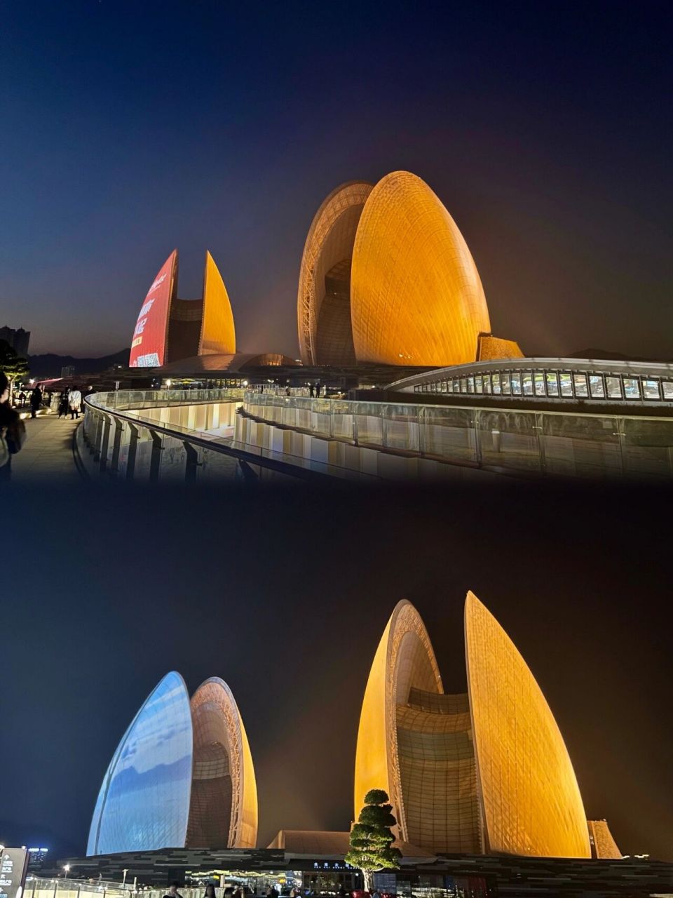 来珠海肯定要去"日月贝"夜景绝美 94珠海大剧院别名又称"日月贝",是