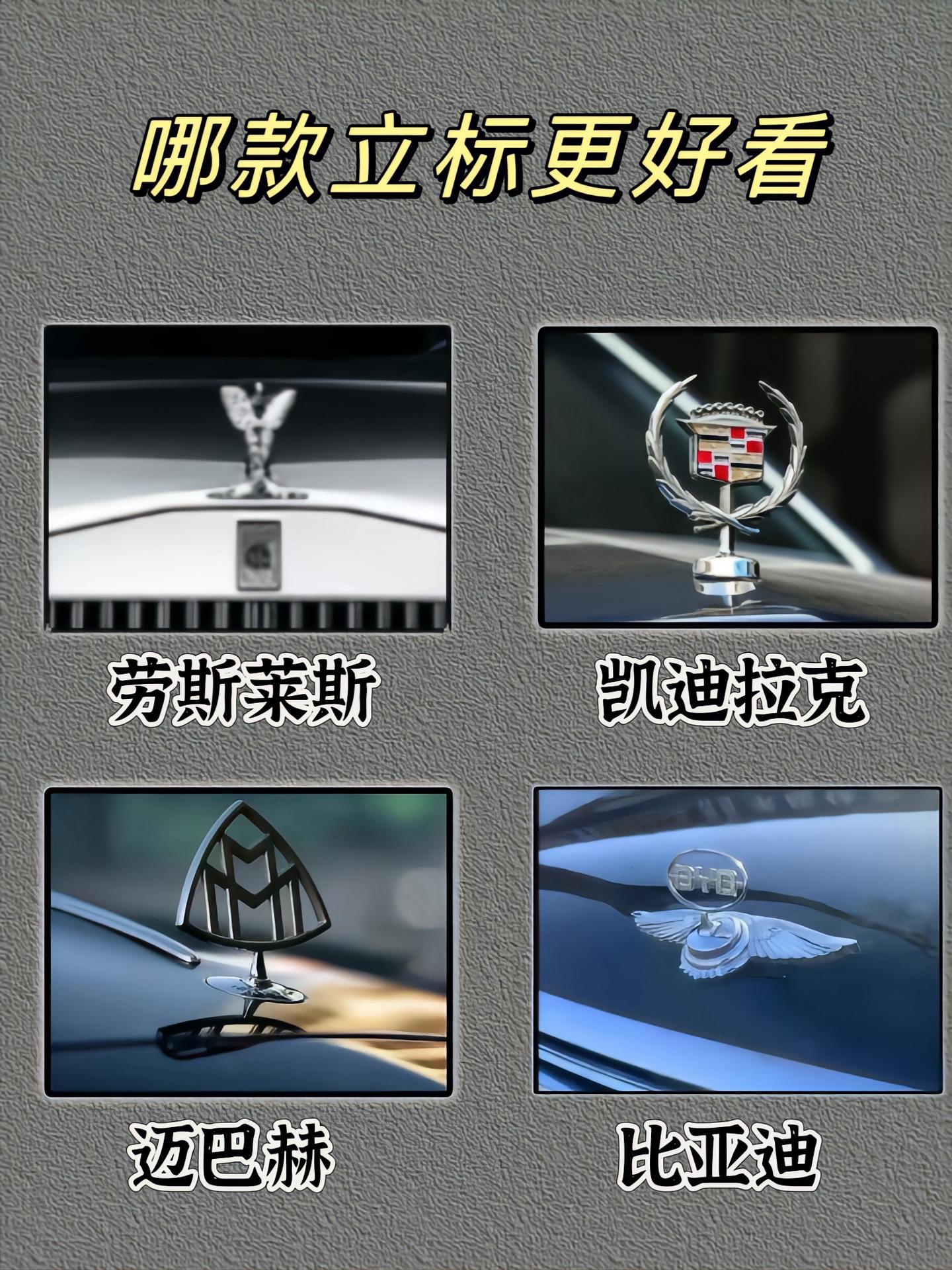 哪款立标好看