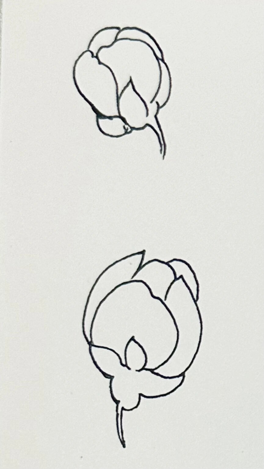 19|9种简单花苞花朵画法|梅花 一边听播客,一边画画,又解锁了一个下班