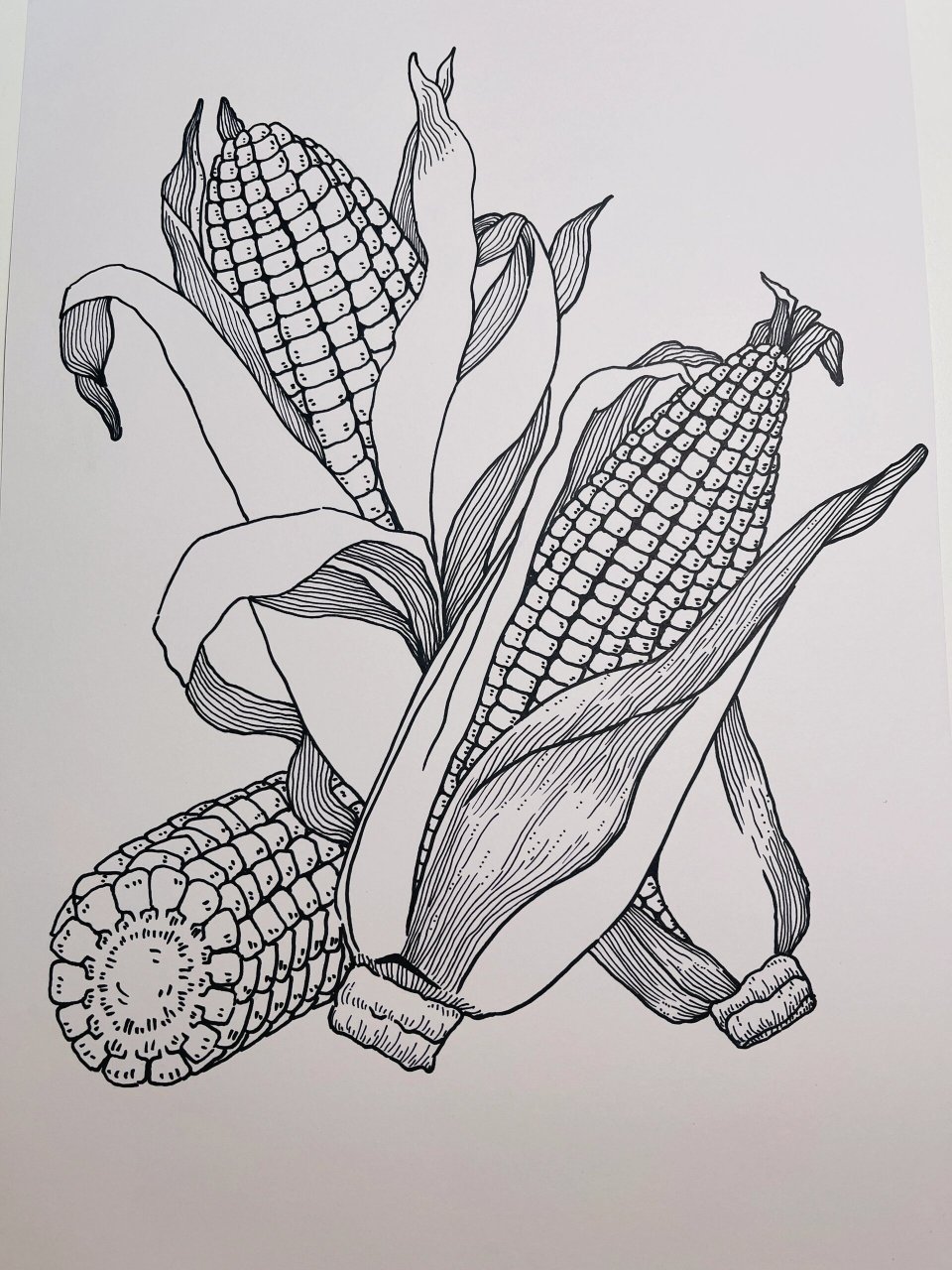 线描《玉米99》 一起来画画吧
