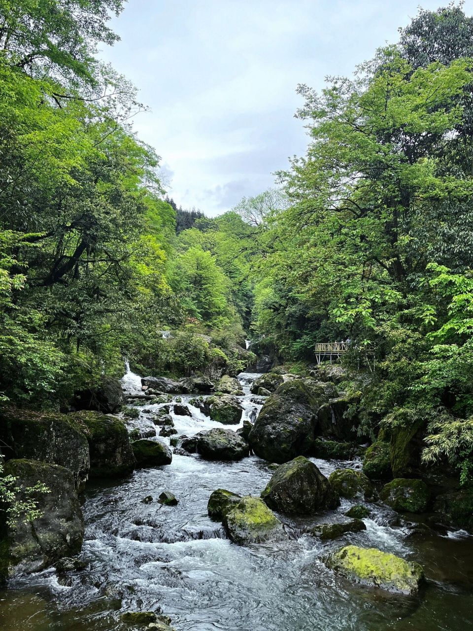 位于雅安荥经县龙苍沟有两条线路 一条天生桥景区 一条叠翠溪景