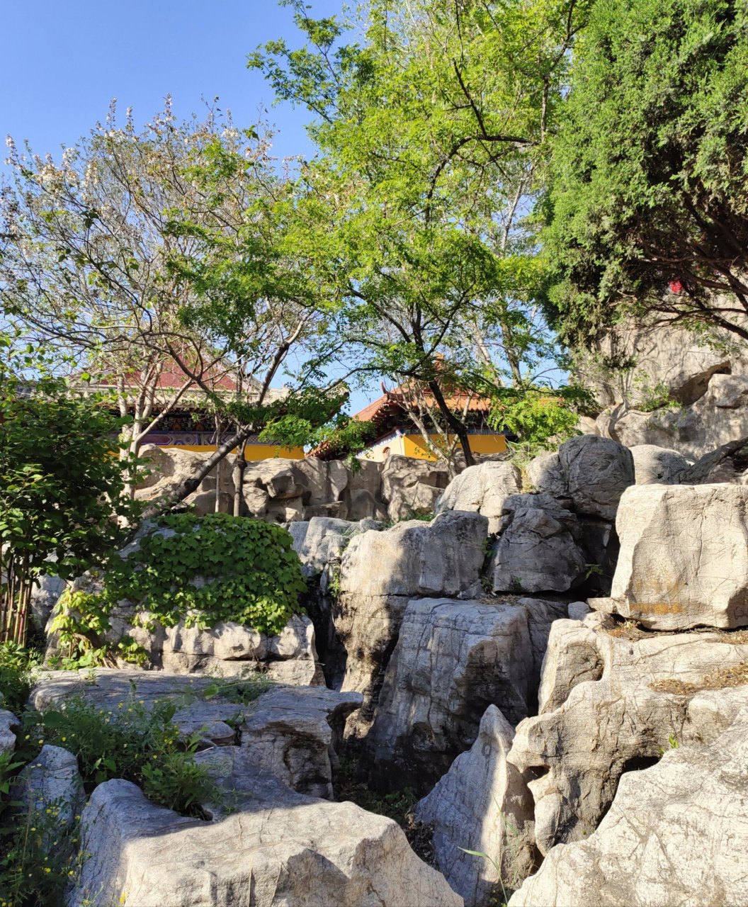 临沂罗庄区宝泉寺,儿时的回忆. 听说宝泉寺新增了沂蒙展览中心.