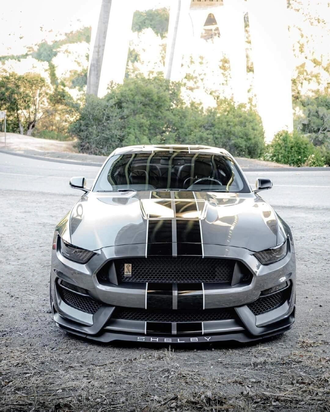 高清壁纸 谢尔比gt350    	 野马粉都知道火爆全网的mustang谢尔比gt