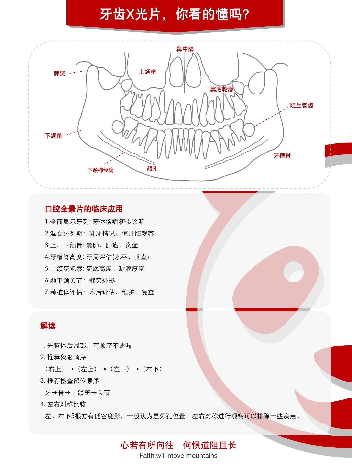 【口腔曲面断层片】全景片