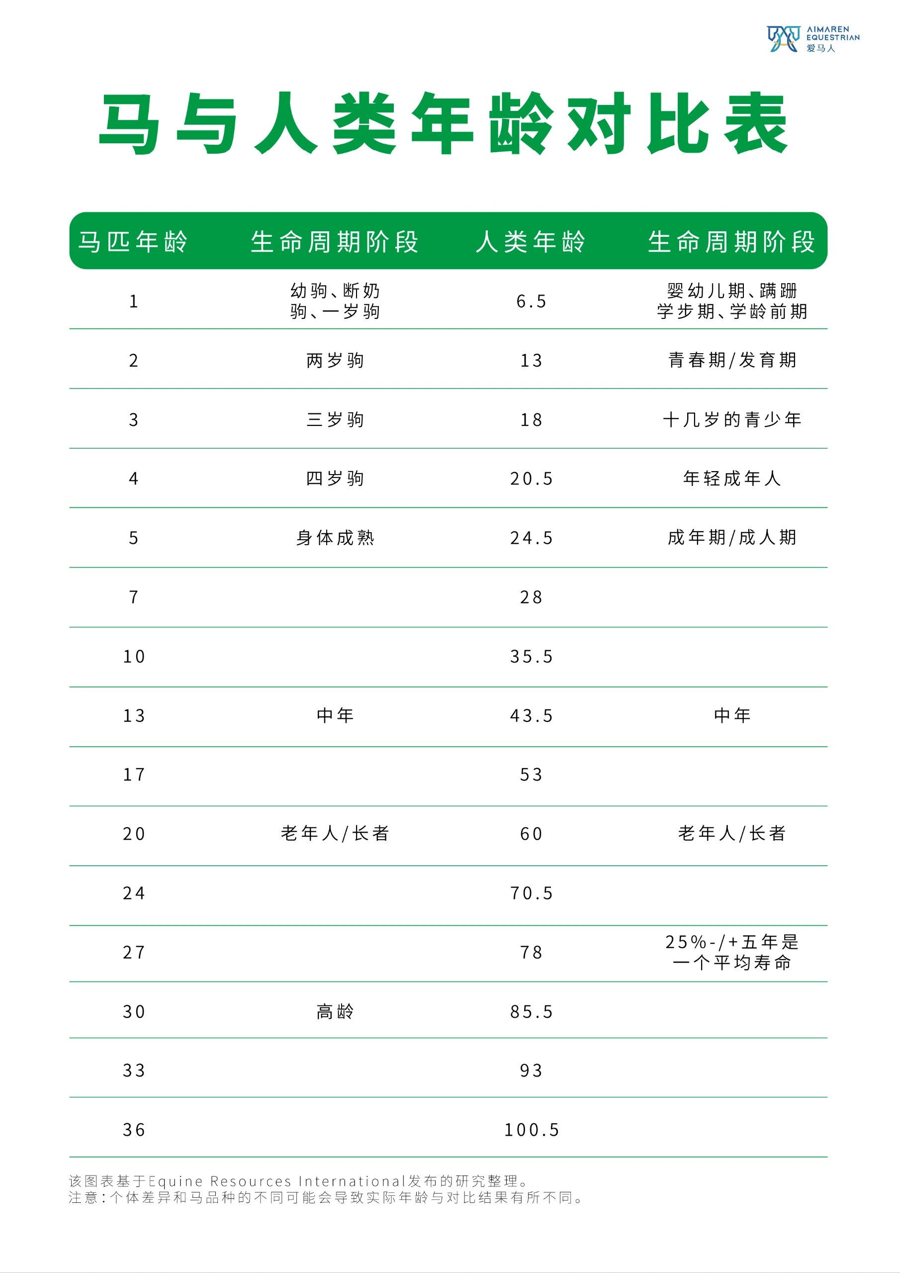 马与人类年龄对比表