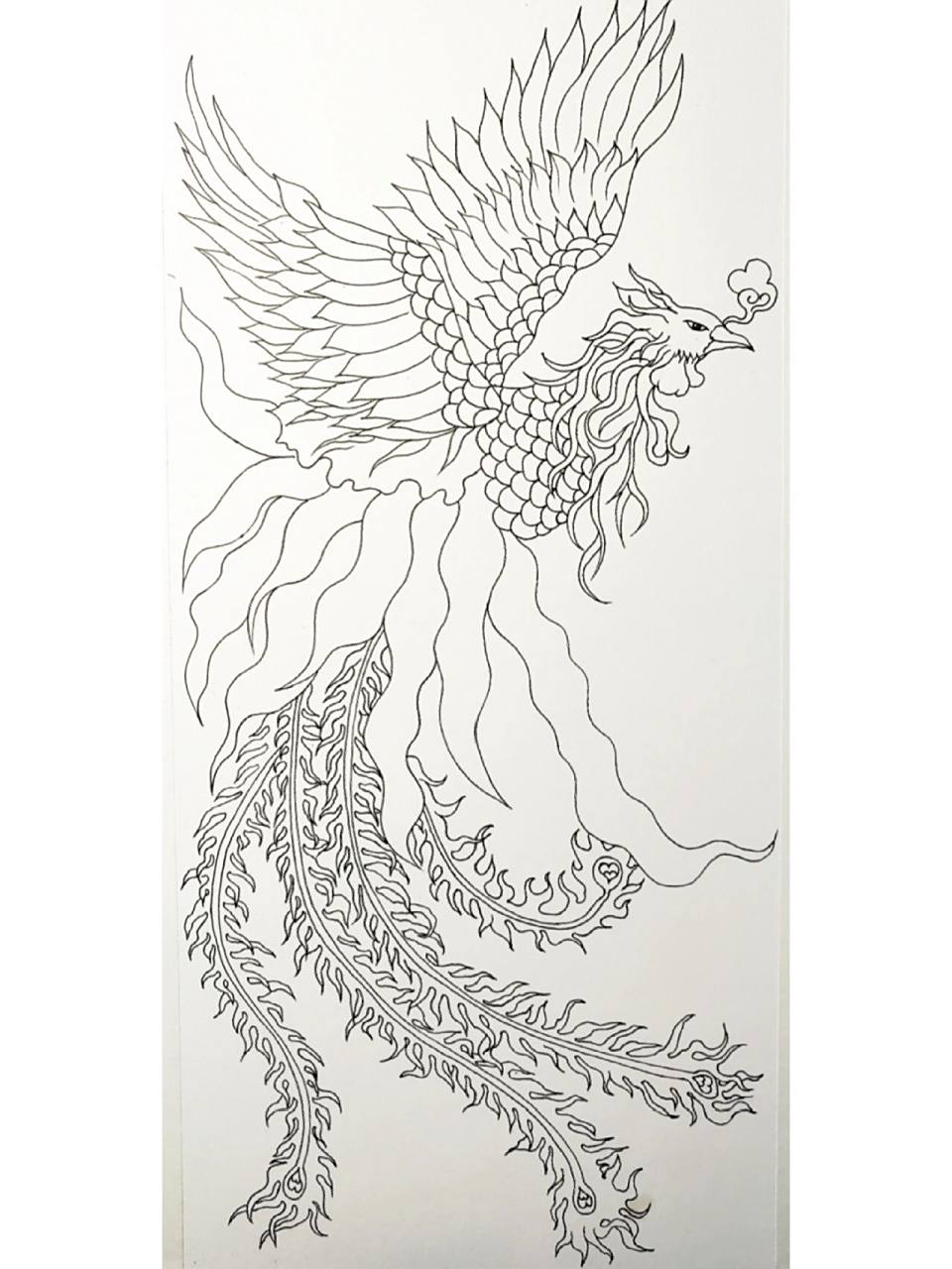 手绘245天~凤凰 画画,有一种治愈的力量 这是多年来还依然喜欢画画的