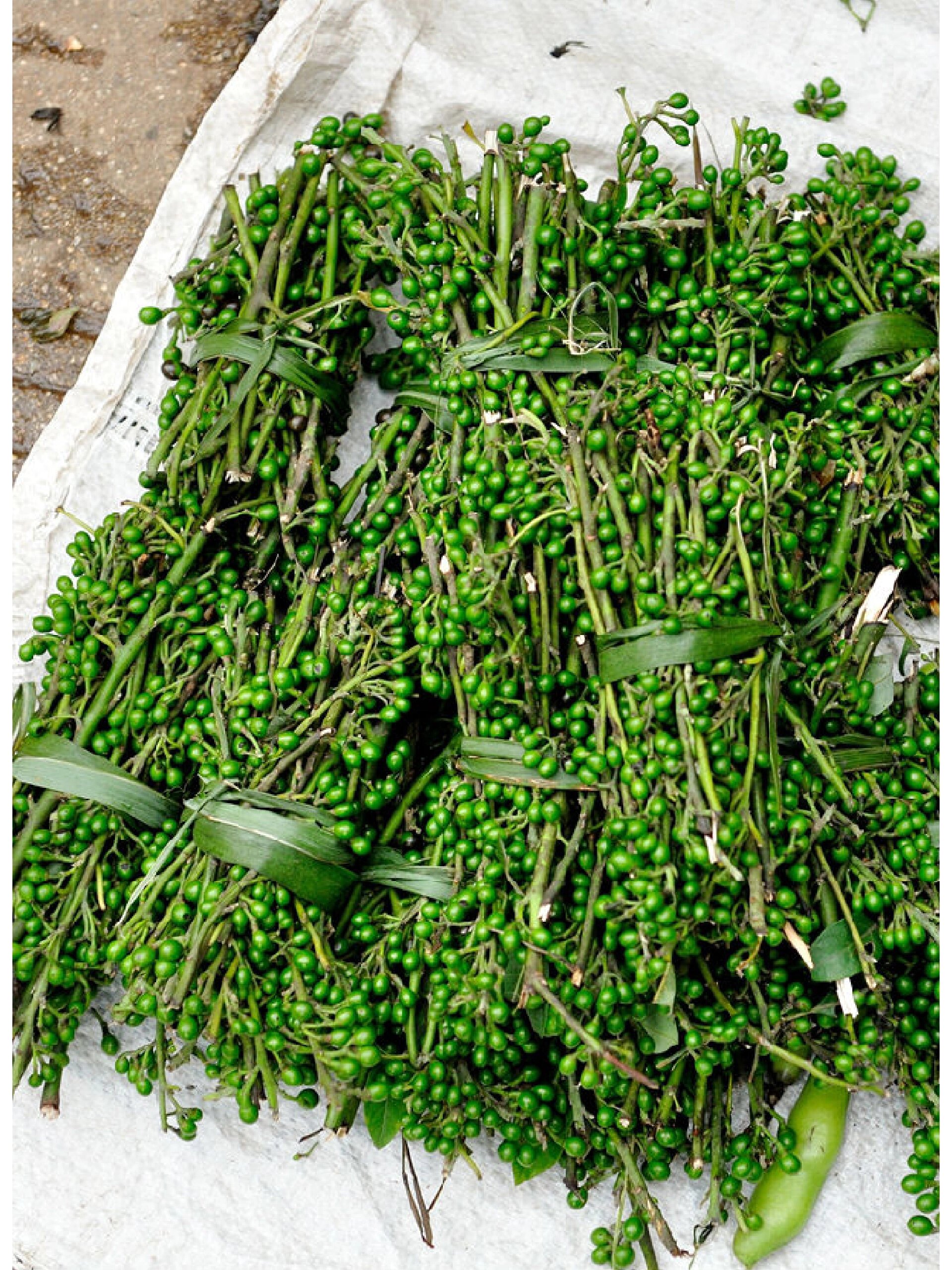 木姜子 健脾消食,祛风燥湿,行气止痛 木姜子归于脾经,胃经,有健脾消食