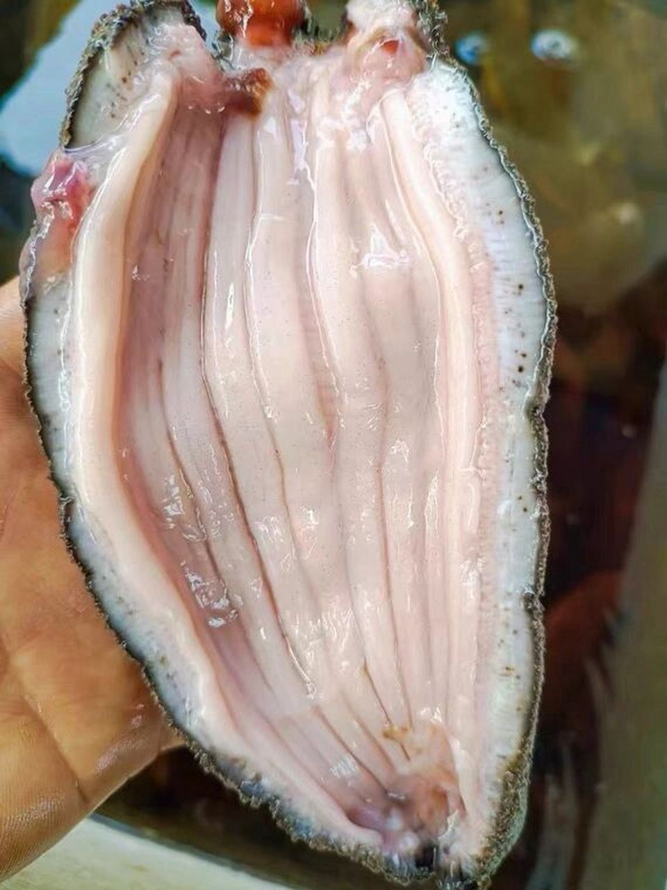 新鲜海茄子处理方法 前面两张图淘宝搜到的,后面几