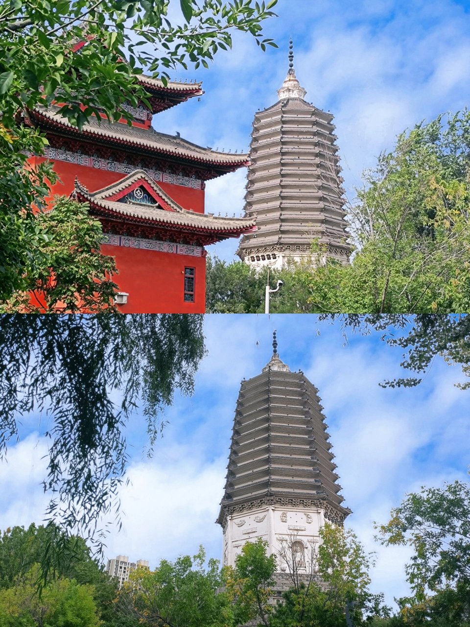 位于沈阳市浑南区白塔公园附近 弥陀寺-去过好几次都没有开放