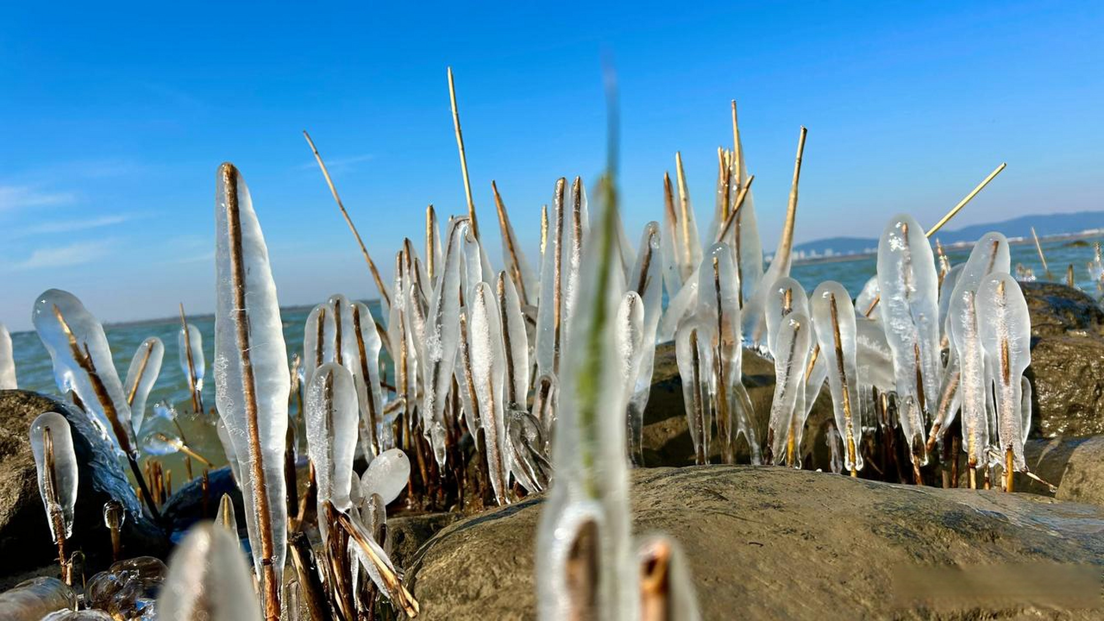 太湖结冰了,看看我今天中午拍的,这大冰坨子!